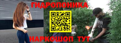 дмт Тара