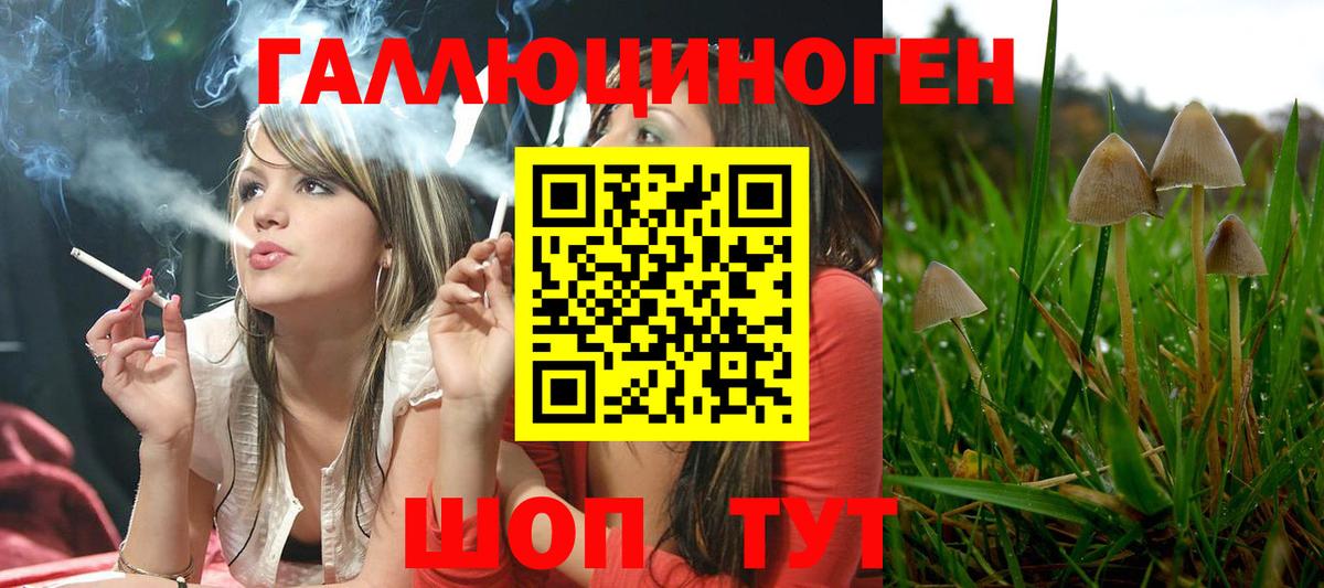 Галлюциногенные грибы Cubensis  Вход с VPN  Моздок 